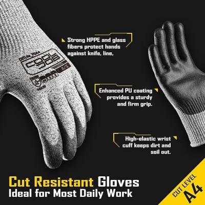 Where to find ANSI-A4 Cut Resistant Gloves XL in Watsonville